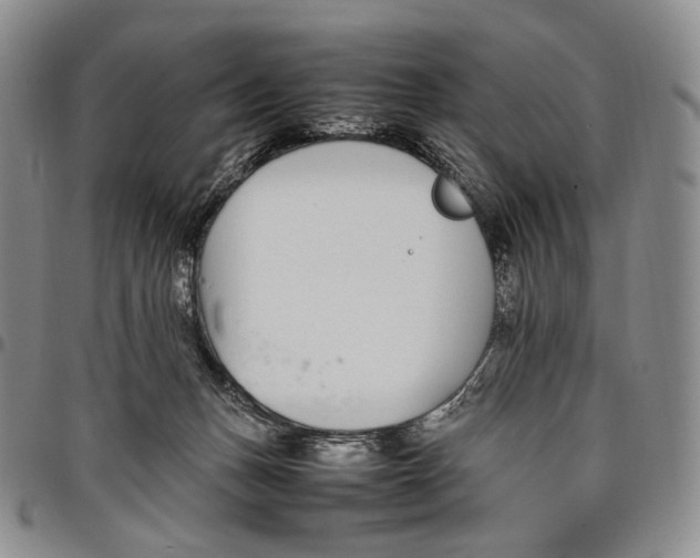 X0000097980175200804141126