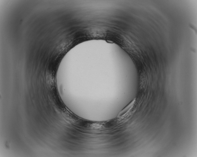 X0000097980176200804141126