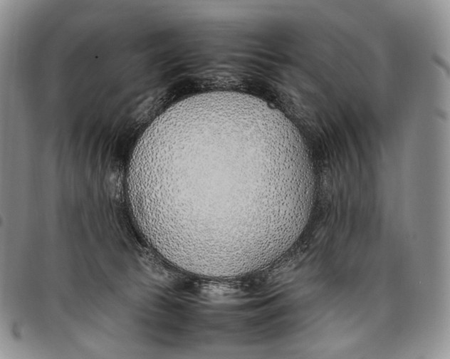 X0000097980177200804141126