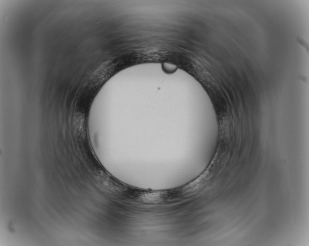 X0000097980178200804141126