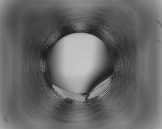 X0000097980180200804141126