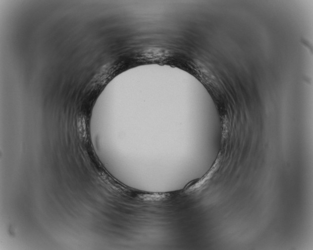 X0000097980182200804141126