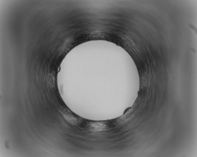 X0000097980183200804141126