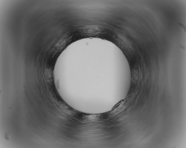 X0000097980184200804141126