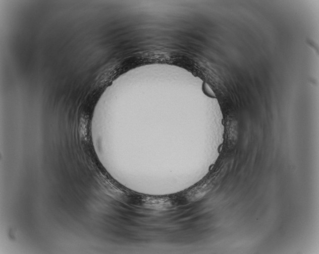 X0000097980185200804141126