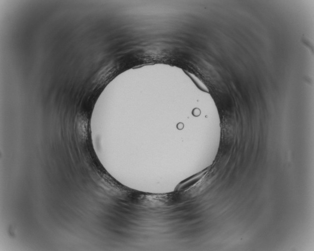 X0000097980188200804141126