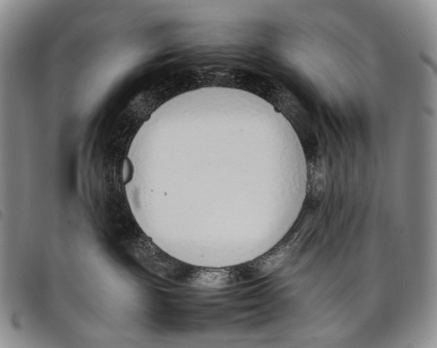 X0000097980189200804141126