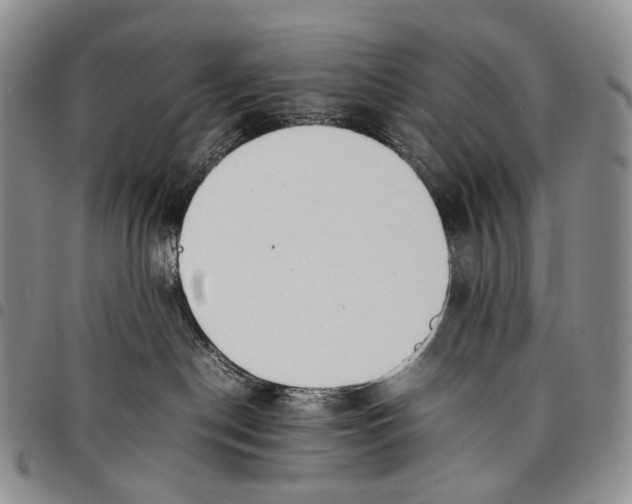 X0000097980190200804141126