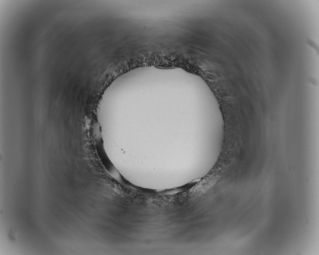 X0000097980192200804141126