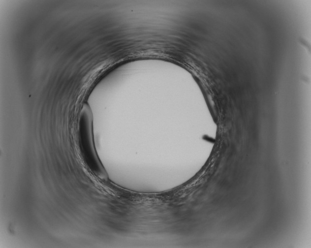 X0000097980193200804141125