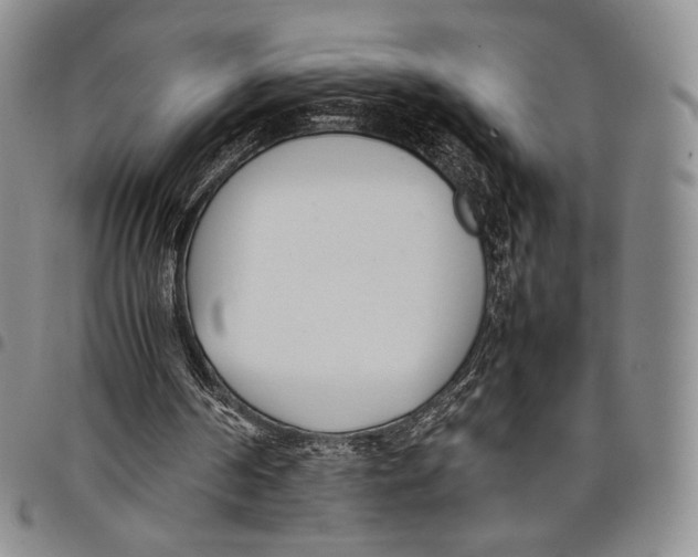 X0000097980194200804141125