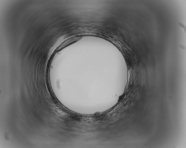 X0000097980195200804141125