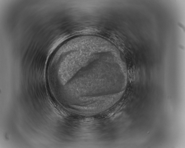 X0000097980196200804141125