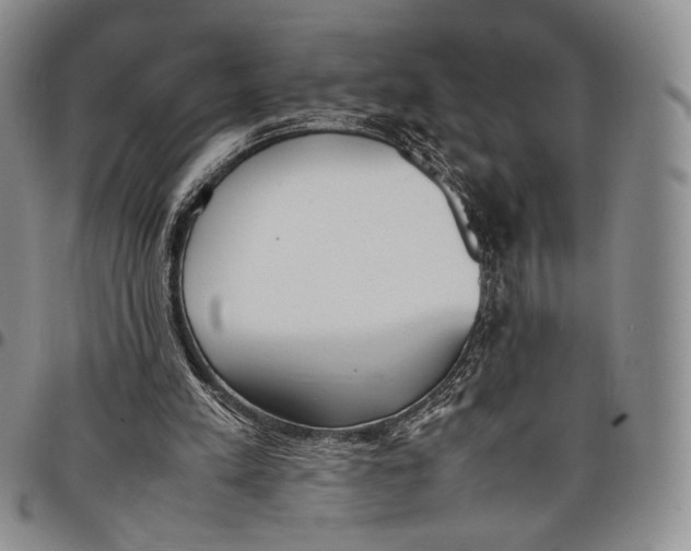 X0000097980197200804141125