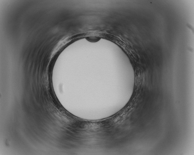 X0000097980198200804141125