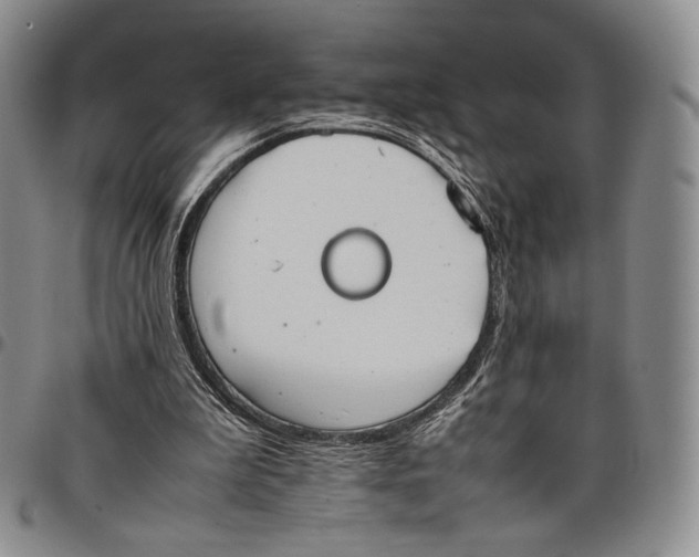 X0000097980199200804141125