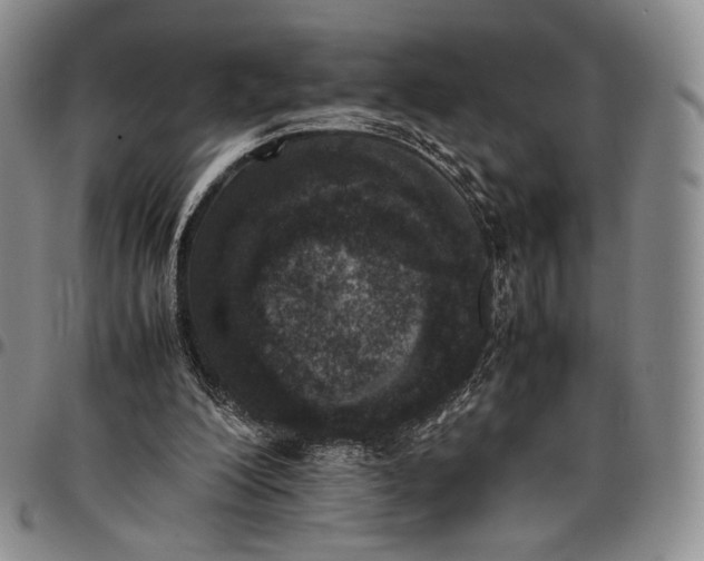 X0000097980200200804141125