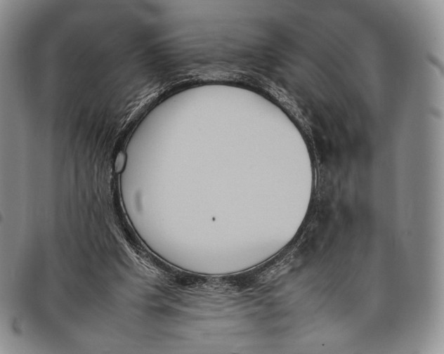 X0000097980201200804141125