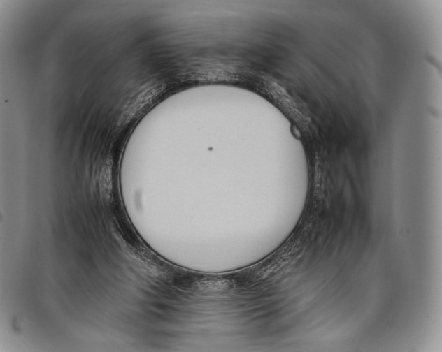 X0000097980202200804141125