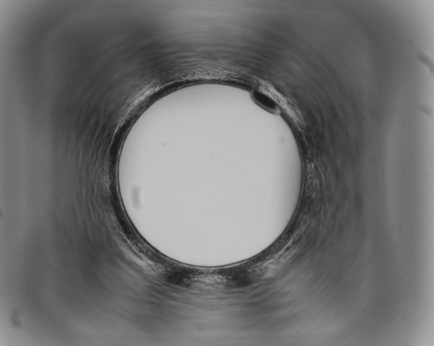 X0000097980203200804141125