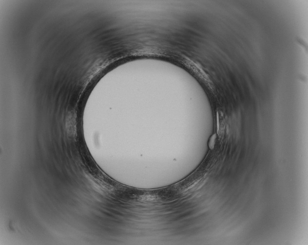 X0000097980204200804141125