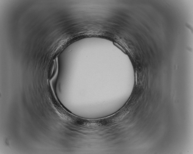 X0000097980205200804141125