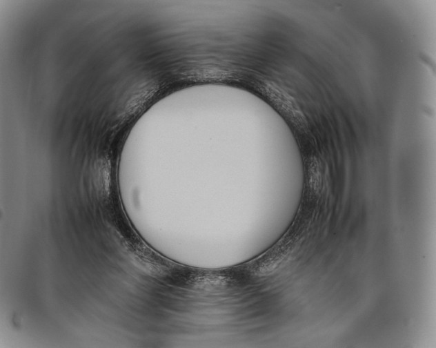 X0000097980206200804141125