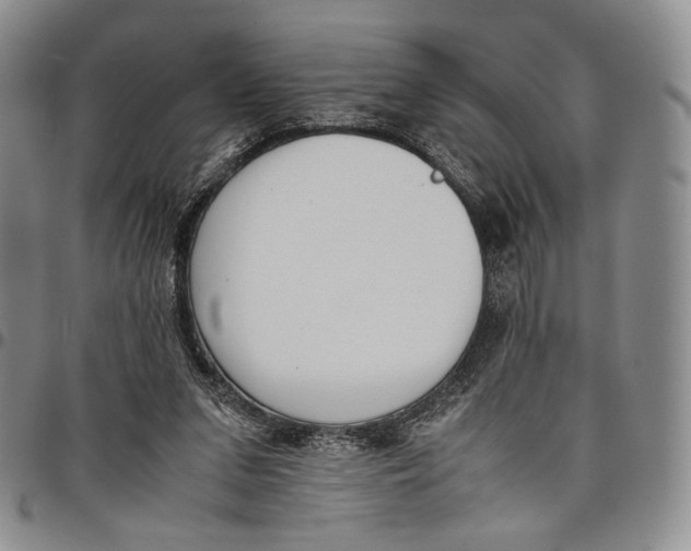 X0000097980207200804141125