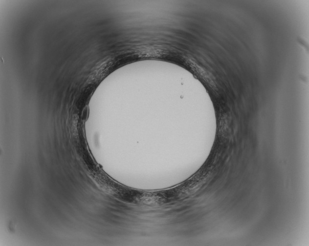 X0000097980209200804141125