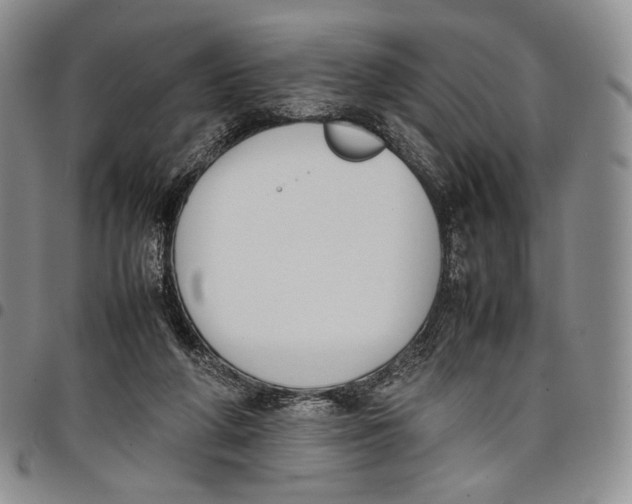 X0000097980210200804141125