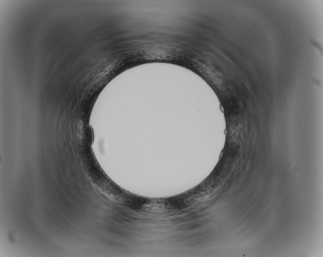 X0000097980211200804141125