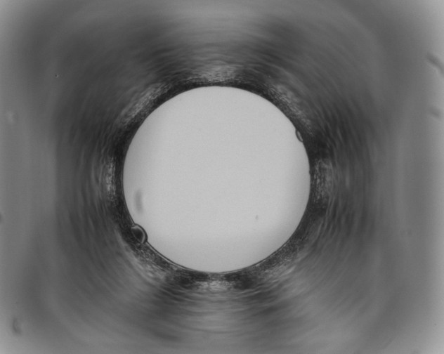 X0000097980212200804141125