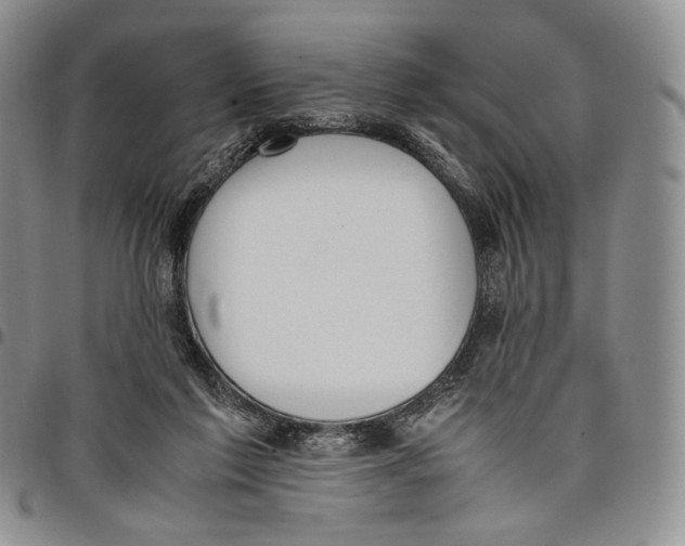 X0000097980213200804141125