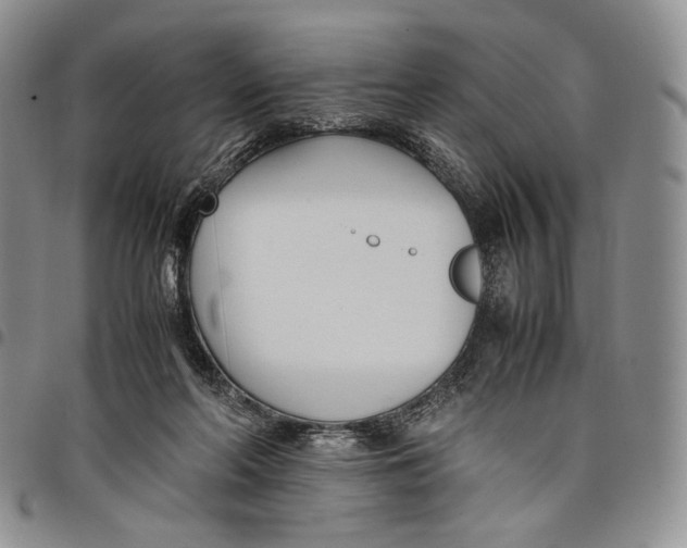 X0000097980214200804141125