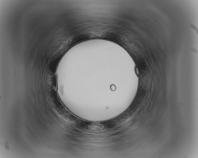 X0000097980215200804141125