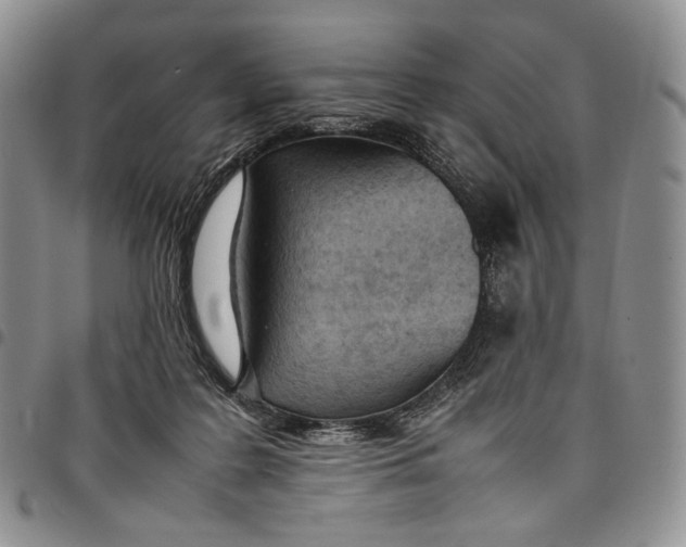 X0000097980219200804141125