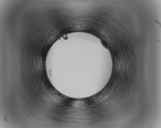 X0000097980220200804141125