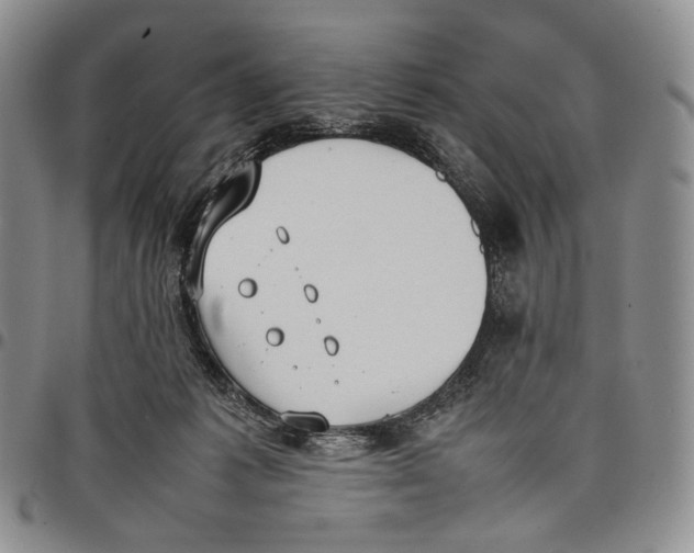 X0000097980221200804141125