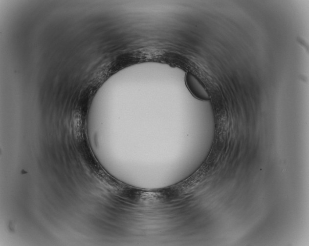 X0000097980222200804141125