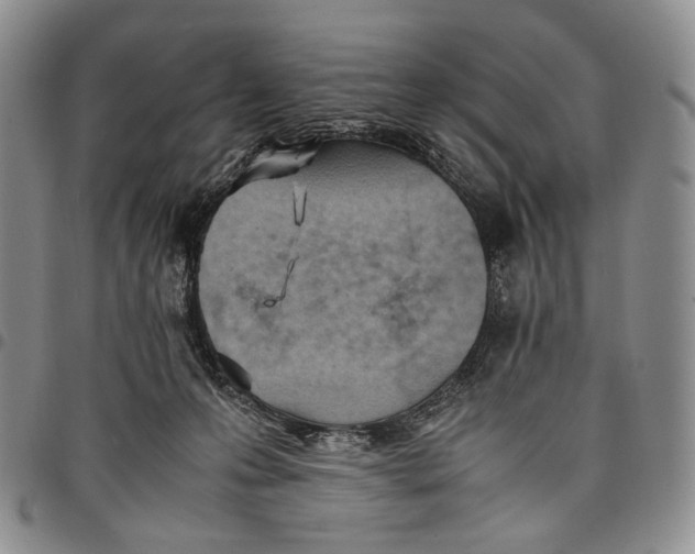 X0000097980223200804141125