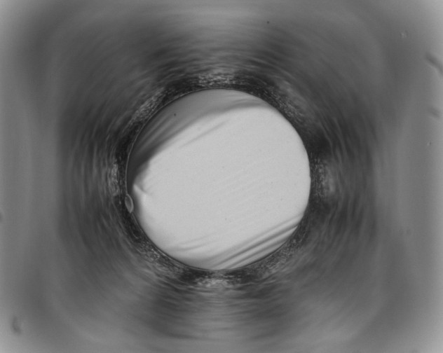 X0000097980224200804141125