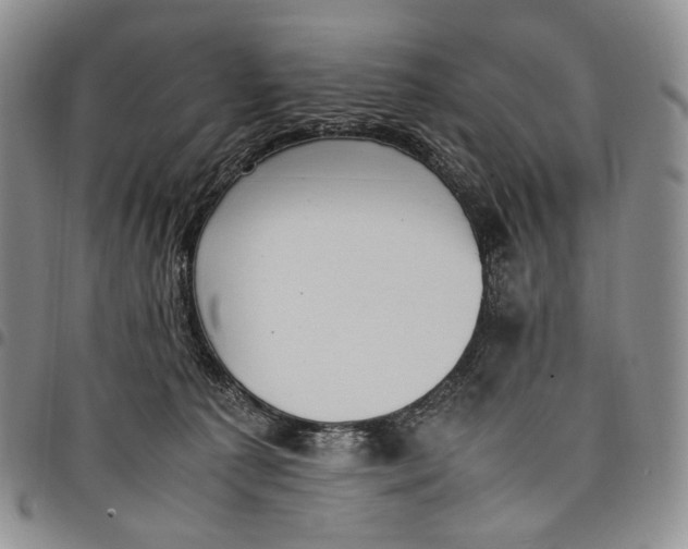 X0000097980225200804141125