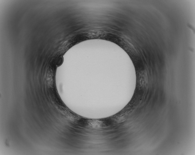 X0000097980226200804141125