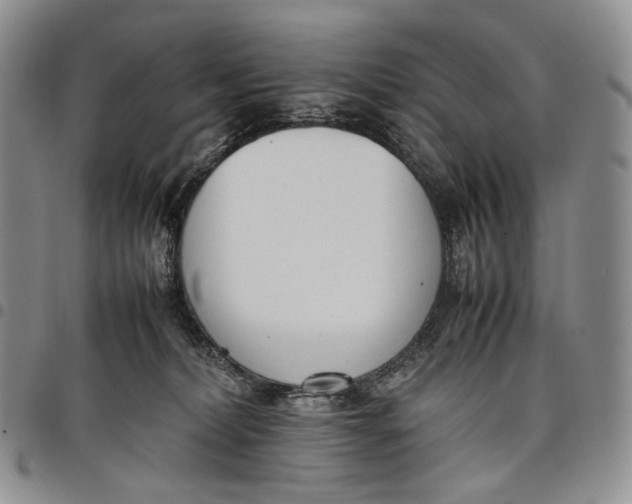 X0000097980228200804141125