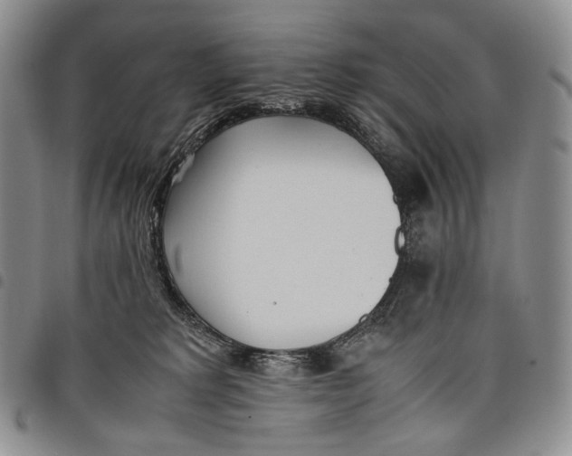 X0000097980229200804141125