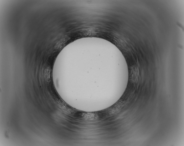 X0000097980230200804141125