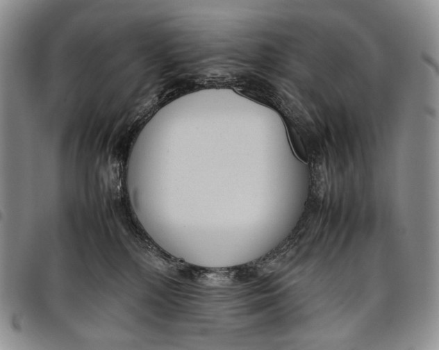 X0000097980232200804141125