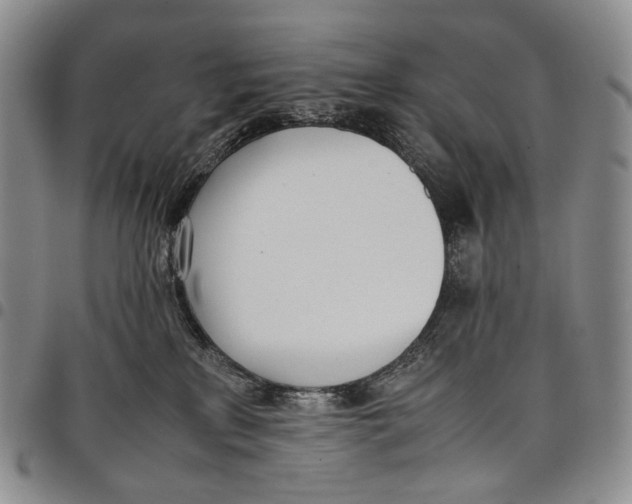 X0000097980233200804141125