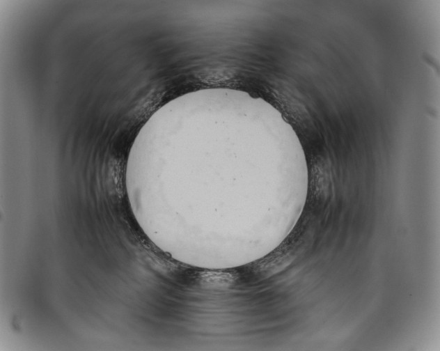 X0000097980234200804141125