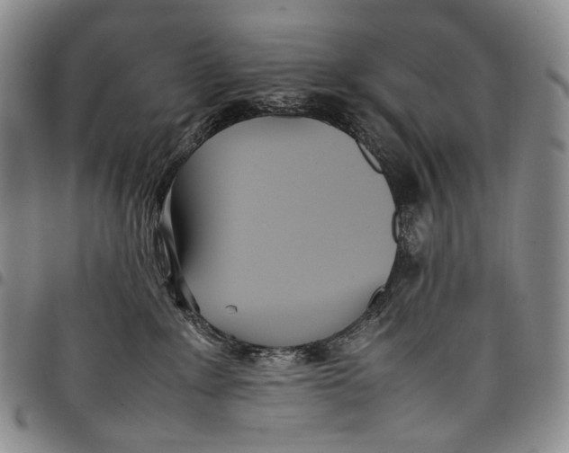 X0000097980235200804141125